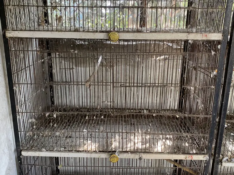 Iron cage — photo 5