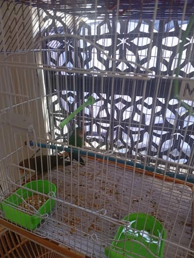 fisher pair with cage