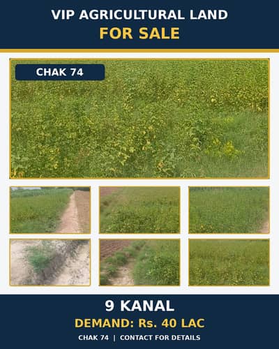 Agriculture Land Sale Urgent Chak 74 Nb