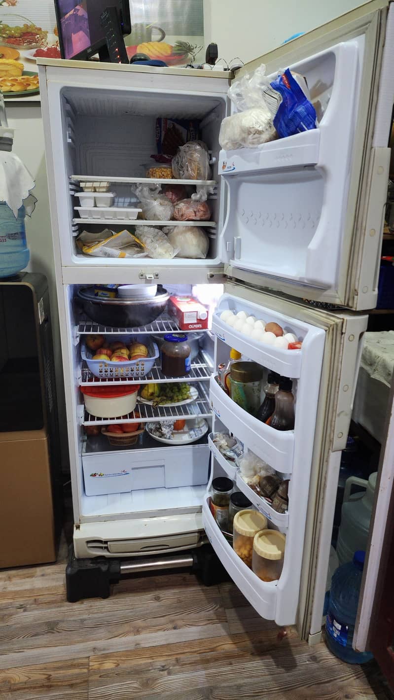 Fridge Full Size 1