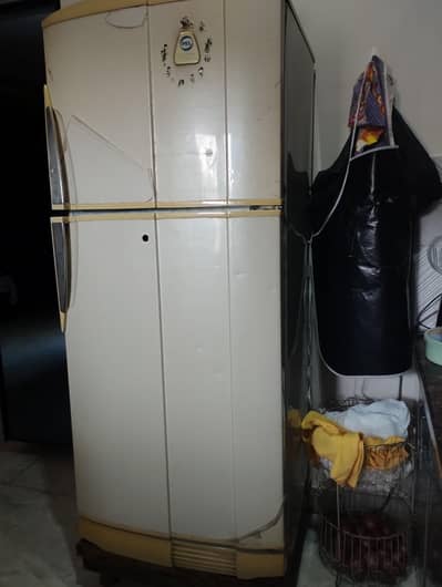 Pel Fridge for sale