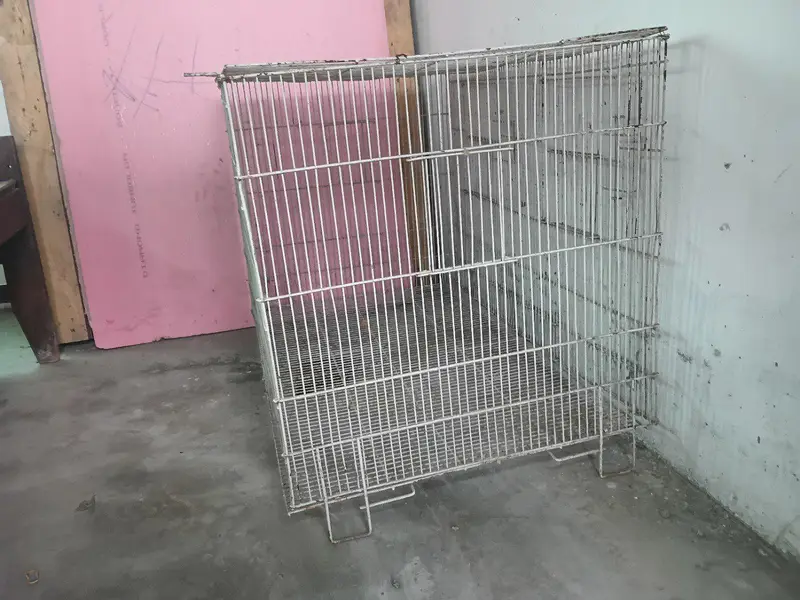 hen cage | cage | Adeel cage | parrot cage — photo 2