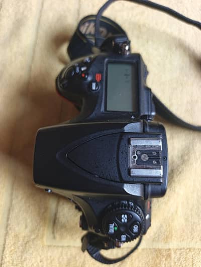 Nikon d810