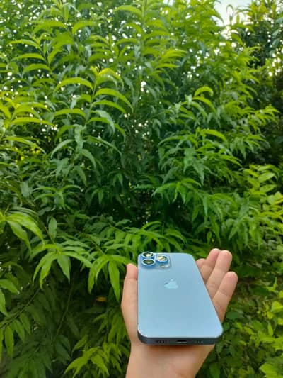 Apple iPhone 13 Pro 10/10 one hand used exchange possibke with 14pm or