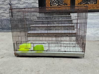 Hen Cage | Parrot Cage | Aseel Cage | Rabbit Cage