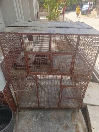 hens cage