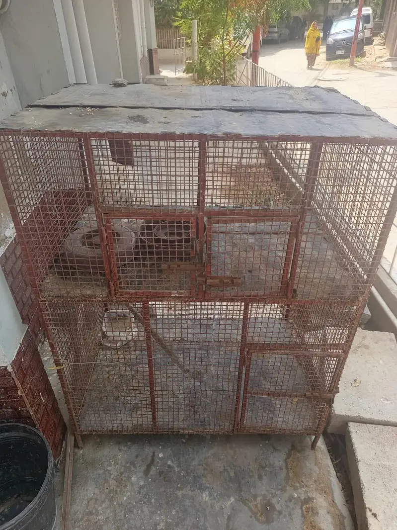 hens cage