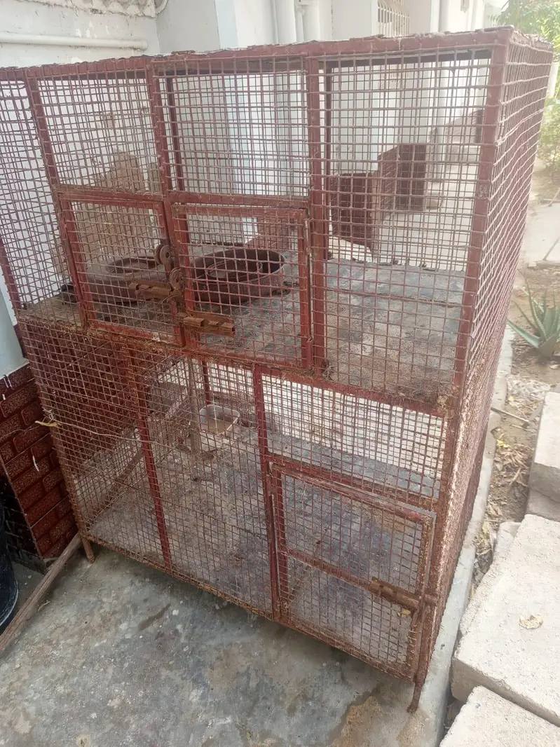 hens cage — photo 2