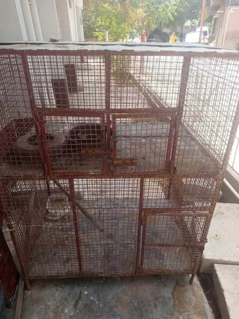 hens cage — photo 3