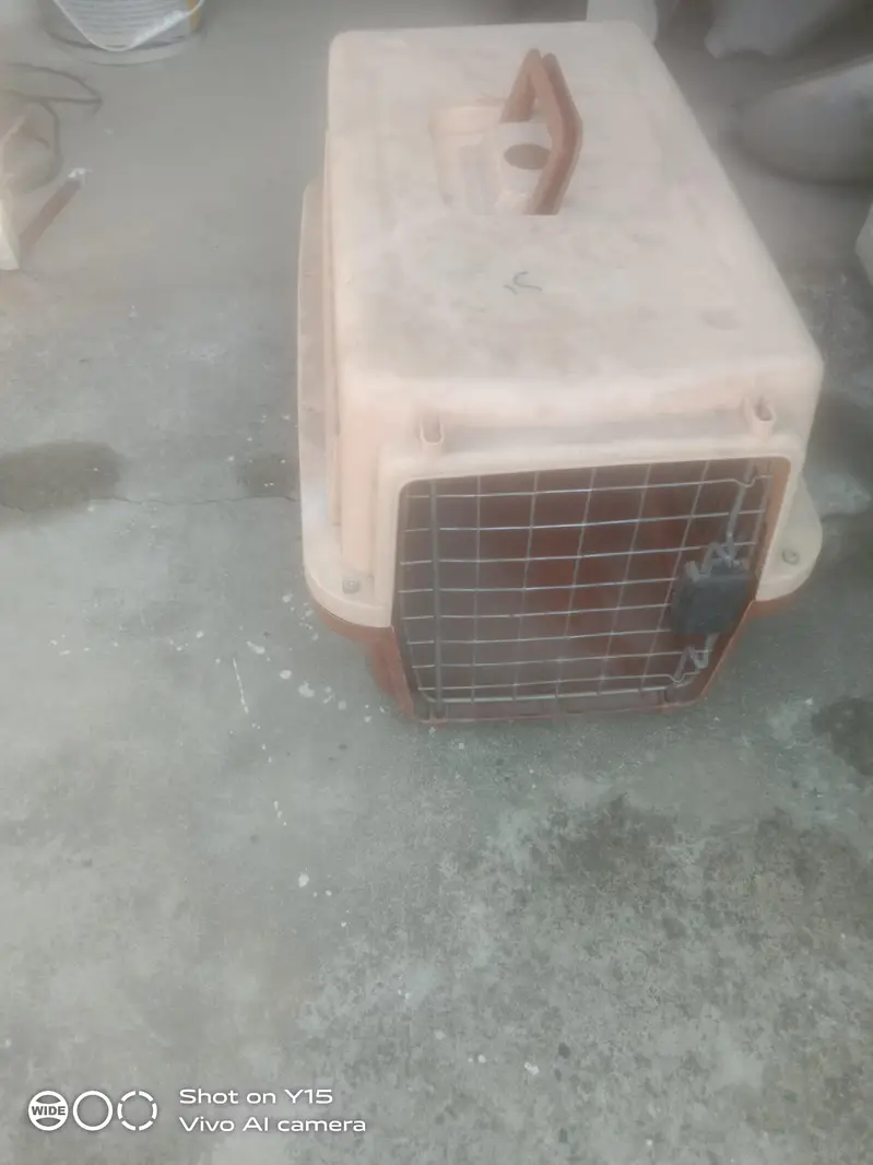 cat puppy cage