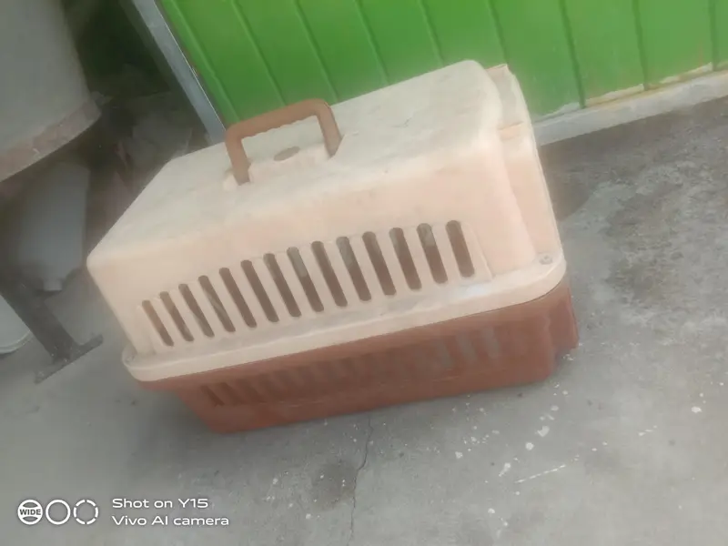 cat puppy cage — photo 2
