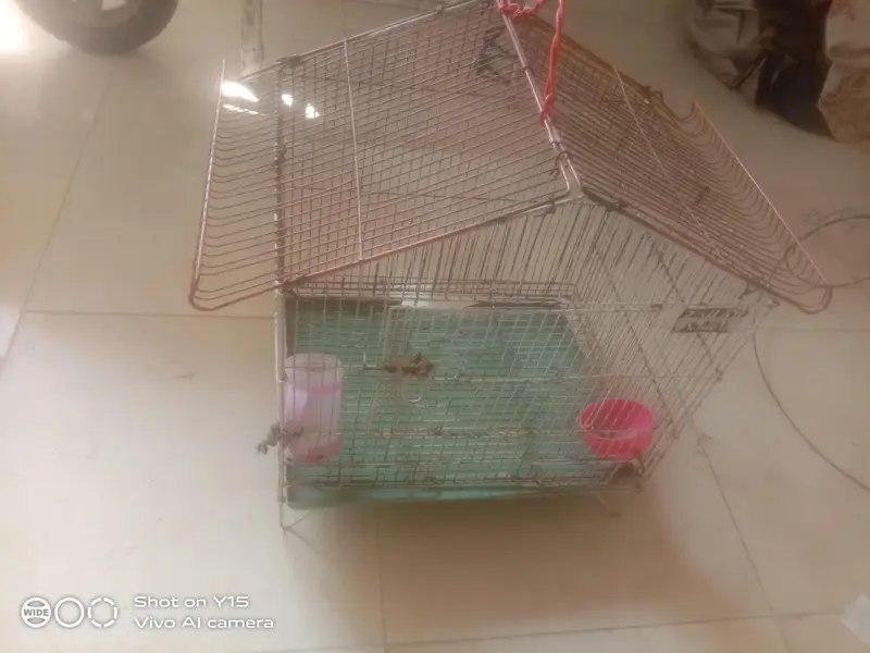 cat puppy cage — photo 4