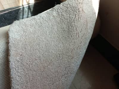 American thick carpet 12x15 sq. ft