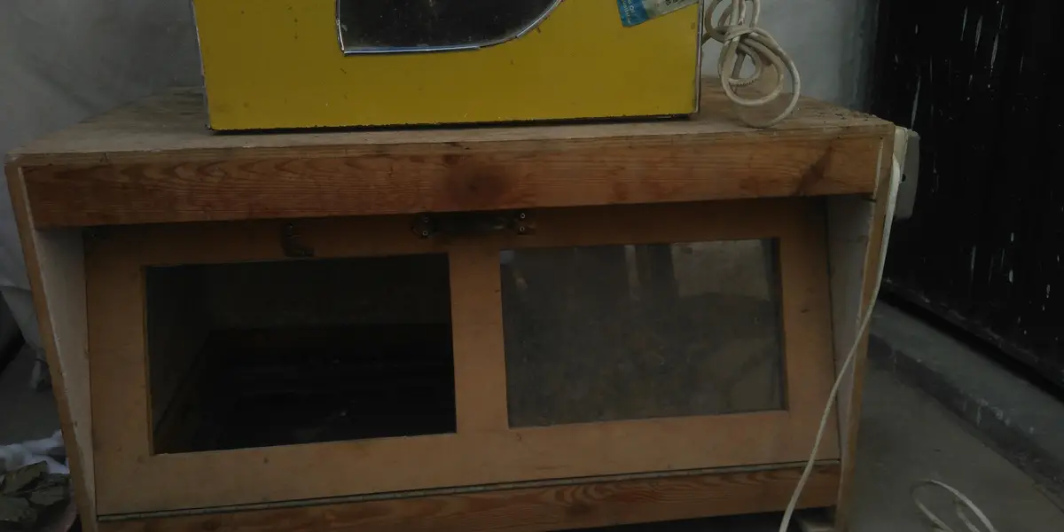 1 bruder 50 chicks wala 2 incubator 50 eggs and 1 simple cage — photo 3