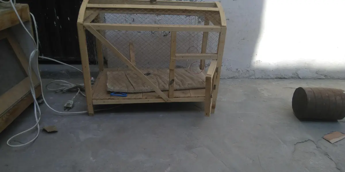 1 bruder 50 chicks wala 2 incubator 50 eggs and 1 simple cage — photo 4