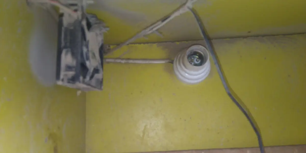 1 bruder 50 chicks wala 2 incubator 50 eggs and 1 simple cage — photo 7