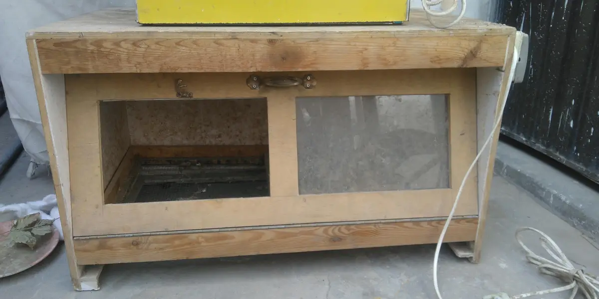 1 bruder 50 chicks wala 2 incubator 50 eggs and 1 simple cage — photo 8