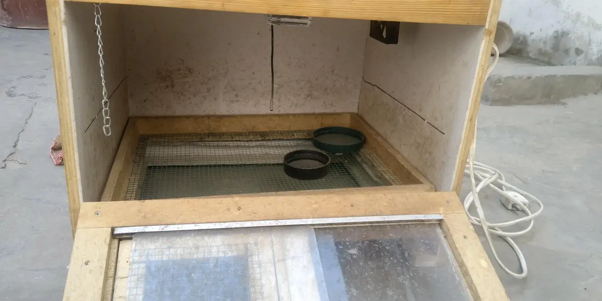 1 bruder 50 chicks wala 2 incubator 50 eggs and 1 simple cage — photo 11