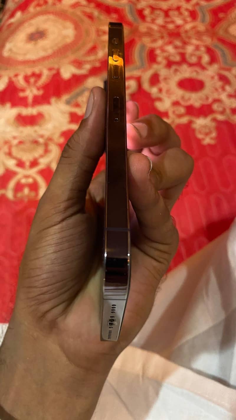 Apple iPhone 14 Pro Max 4