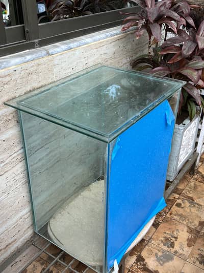 Fish aquarium