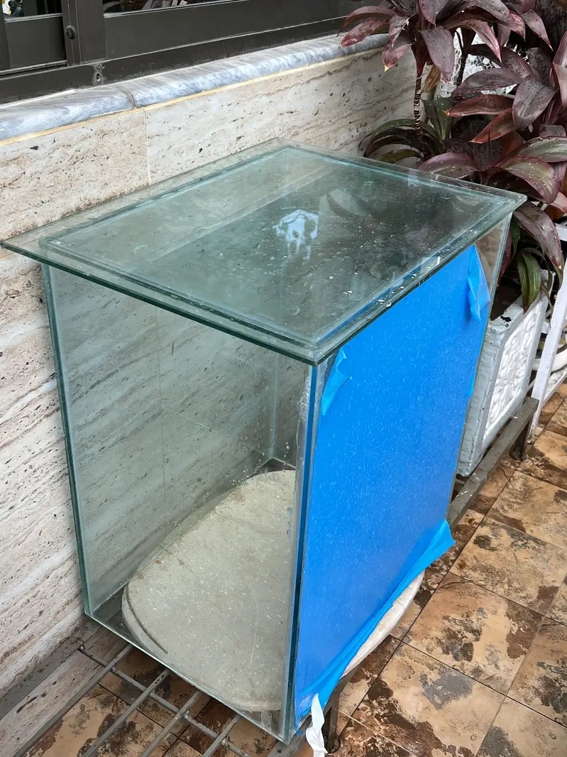 Fish aquarium — photo 2