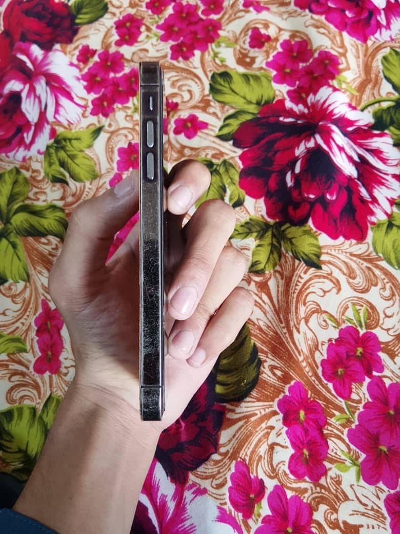 iPhone XR 1