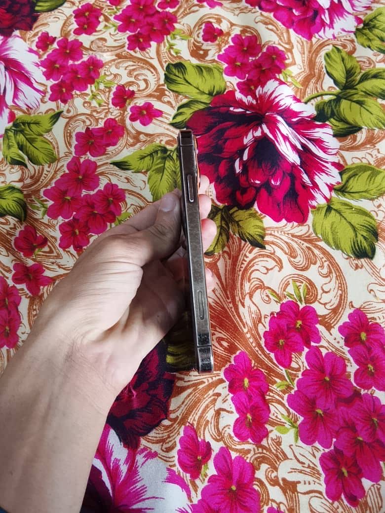 iPhone XR 6