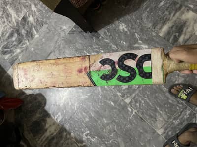 Bat for sale