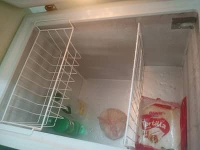 Inverter Deep Freezer for Sale – Excellent Cooling