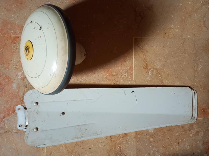 Ceiling fan 1