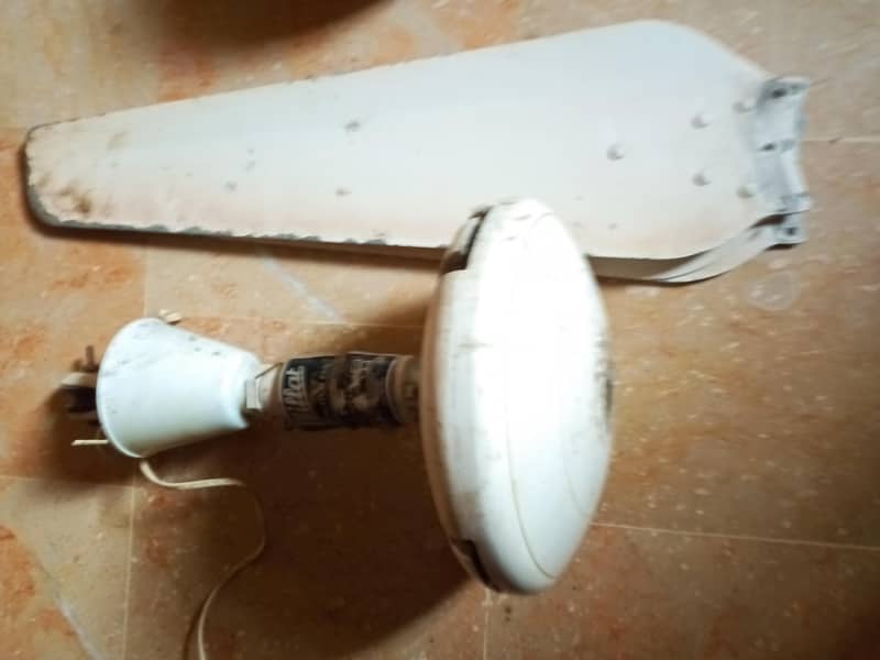 Ceiling fan 5
