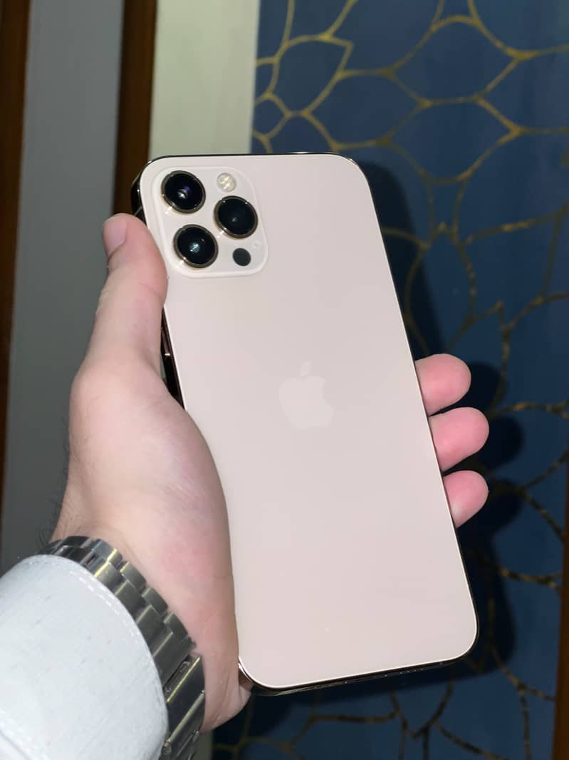 Apple iPhone 12 Pro Max 0
