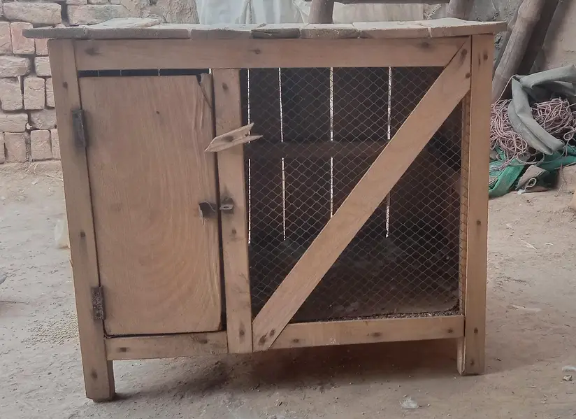 Mele . Female and wood cage — photo 4
