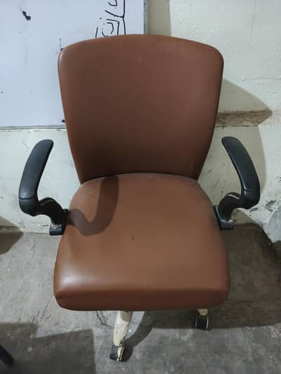 Brand New Chair + 4 Plastic Chairs For Office | School | Academy
