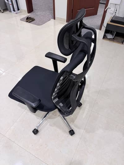 Motion Premium Executive Chair