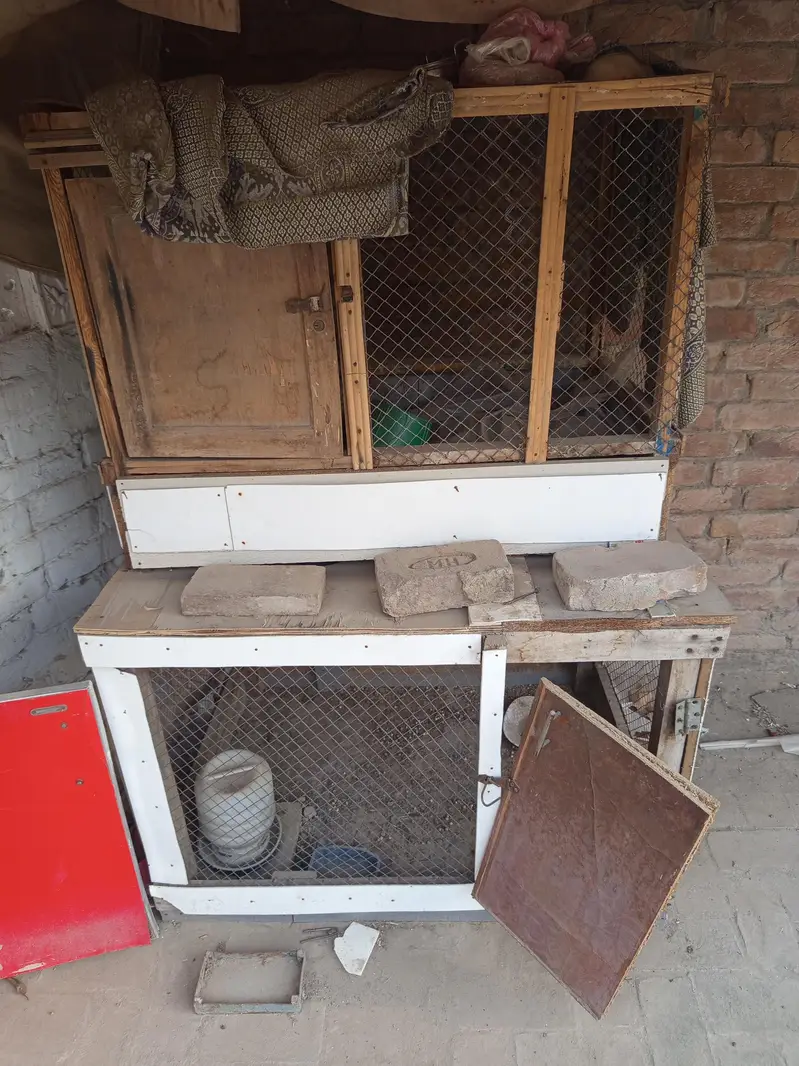 Cages for Sale — photo 3