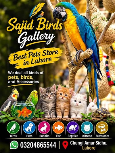 all birds