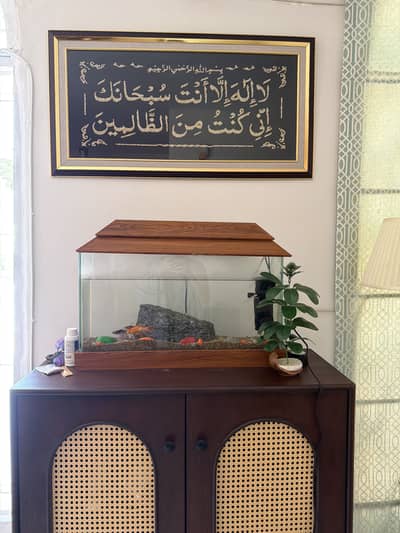 Fish Aquarium