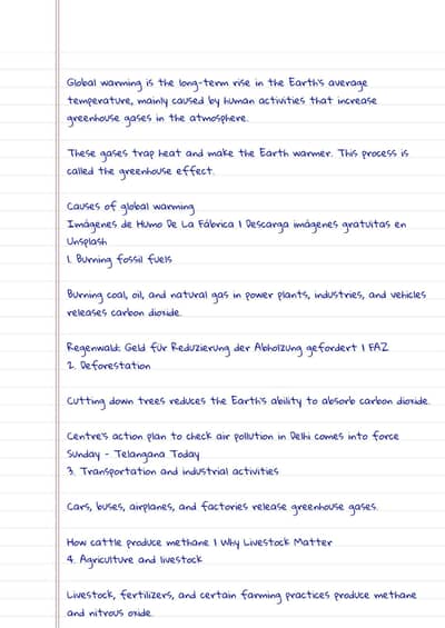 Assignment writer