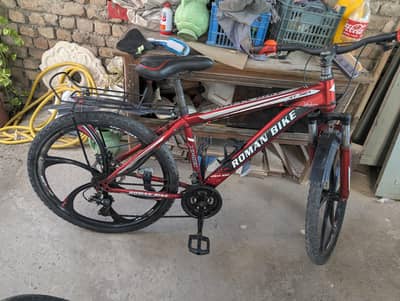 sport cycle