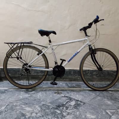 Giant cycle