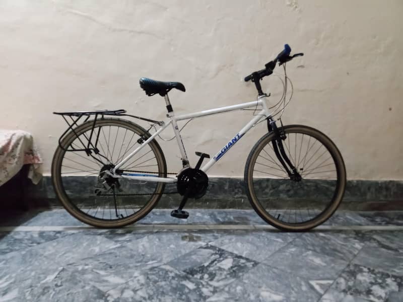 Giant cycle 1