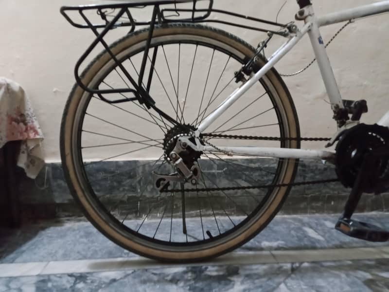 Giant cycle 2