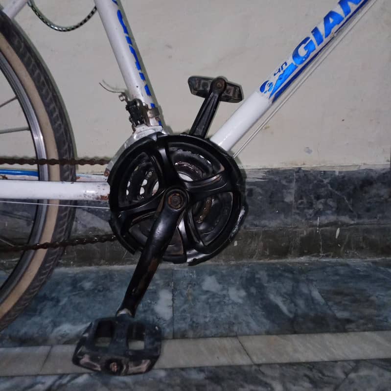 Giant cycle 3