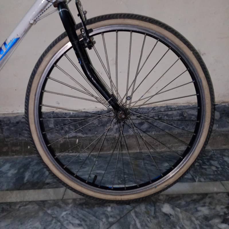 Giant cycle 4