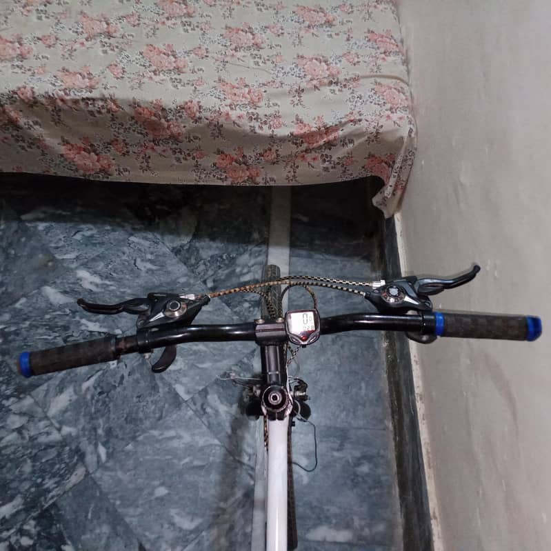 Giant cycle 5