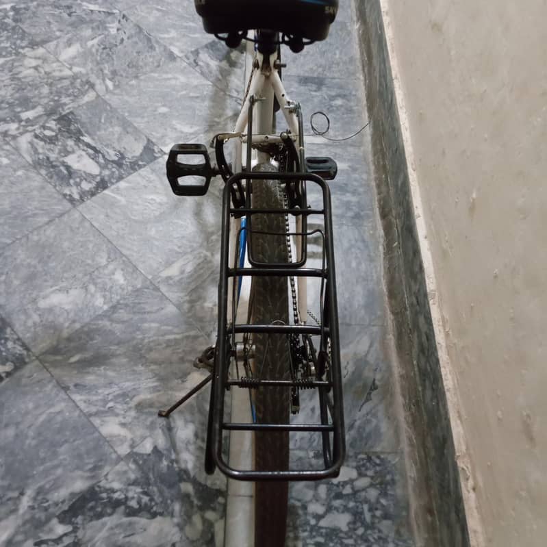 Giant cycle 7