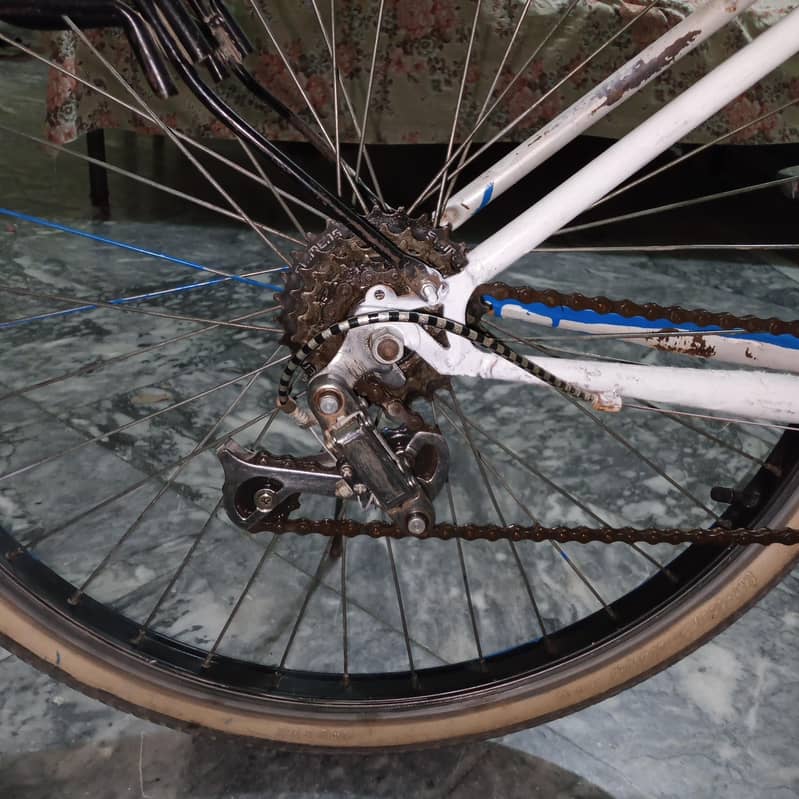 Giant cycle 9