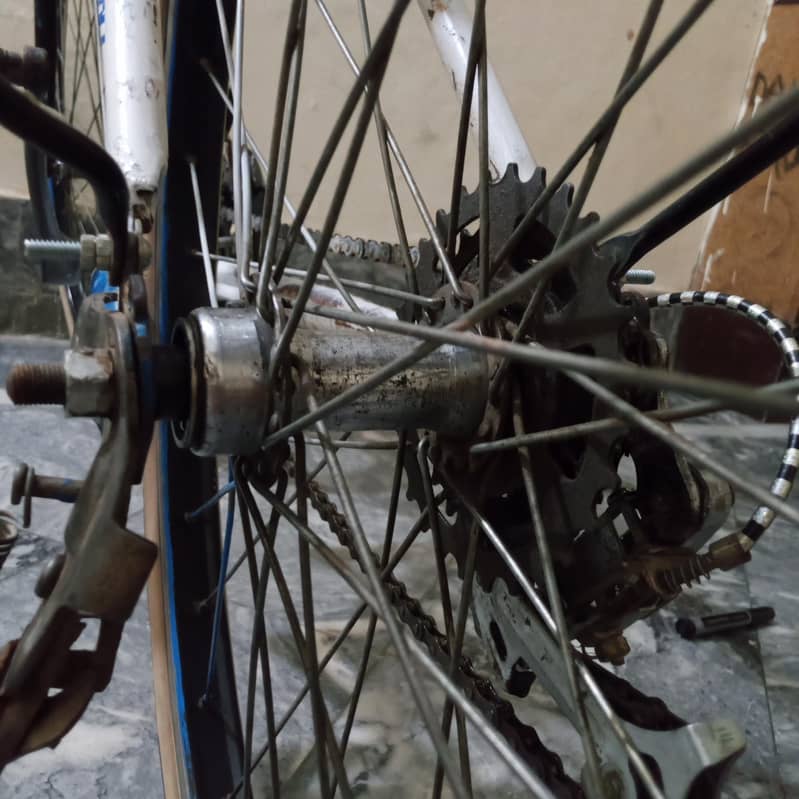 Giant cycle 10