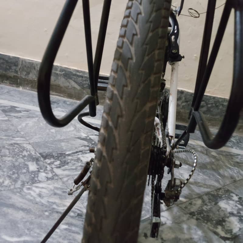 Giant cycle 11